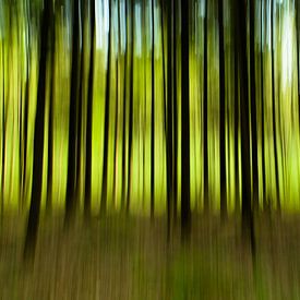 No title van Frank Tauran