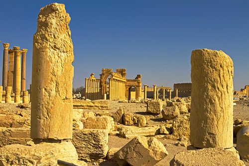 Palmyre - Mémoire de pierre : paysage de ruines