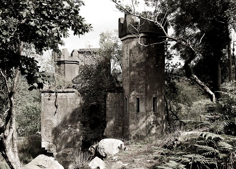 Castle by Daphne Elderenbos