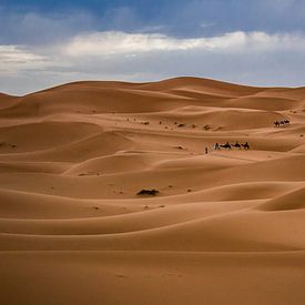 Paysage du Sahara sur Bart Hendriks