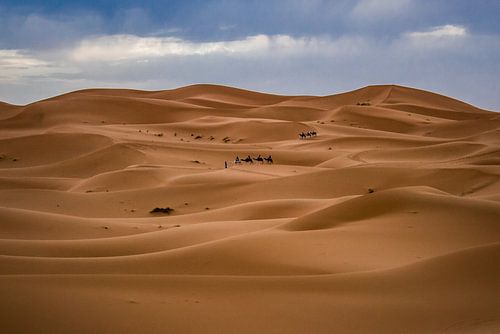 Sahara landscape