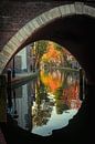 Vollersbrug over de Oudegracht in Utrecht in de herfst  van De Utrechtse Grachten thumbnail