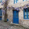 blauwe deur en ramen van een oud huis in frankrijk met bloemen van ChrisWillemsen