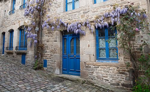 blue doors and old house with wisteria flowers in franch