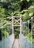 Suspension bridge in the Abel Tasman national park New Zealand