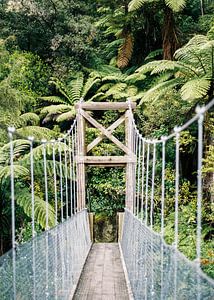 Hängebrücke im Abel Tasman Nationalpark Neuseeland von Raisa Zwart