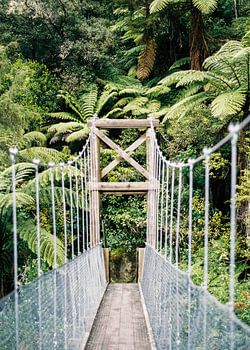 Pont suspendu dans le parc national Abel Tasman Nouvelle-Zélande