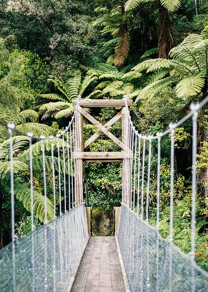 Suspension bridge in the Abel Tasman national park New Zealand by Raisa Zwart Travel Photography Prints