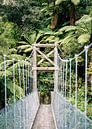 Suspension bridge in the Abel Tasman national park New Zealand by Raisa Zwart Travel Photography Prints thumbnail