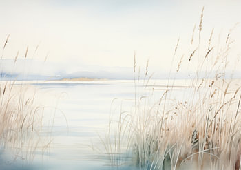 Quiet Pond