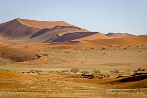 Dodevlei_7, Sesriem, Namibie