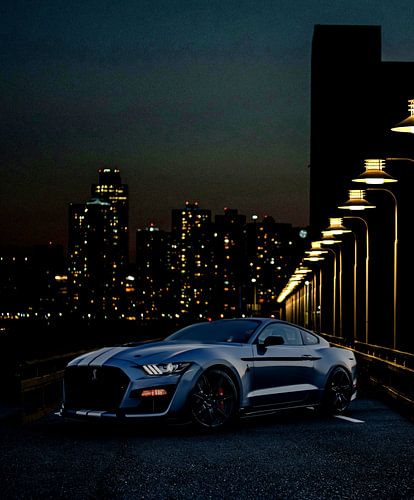 Mustang