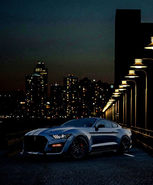 Mustang by Nurcholis Majid