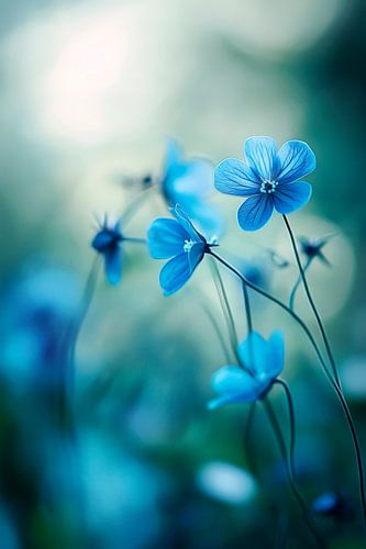 Blauwe bloemenpracht