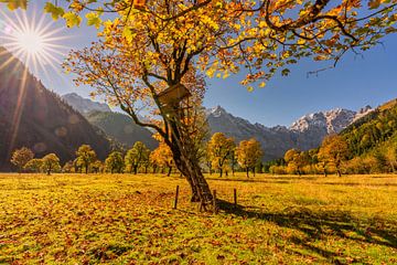 Gouden herfst in de Karwendel ? hier bij &quot;Großer Ahornboden&quot; van Einhorn Fotografie