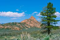 Utah Landschaft von Nicolas Ros Miniaturansicht