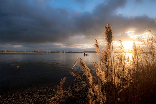 Vissersboot met riet