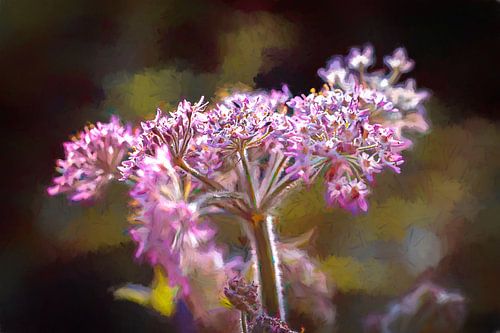 Hogweed