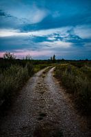 Coucher de soleil.