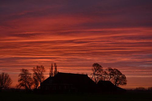 Zonsopkomst nabij Visvliet, Groningen, Nederland. Gemaakt op een koude januari ochtend.