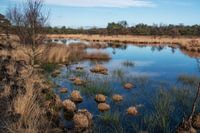 Waterplas