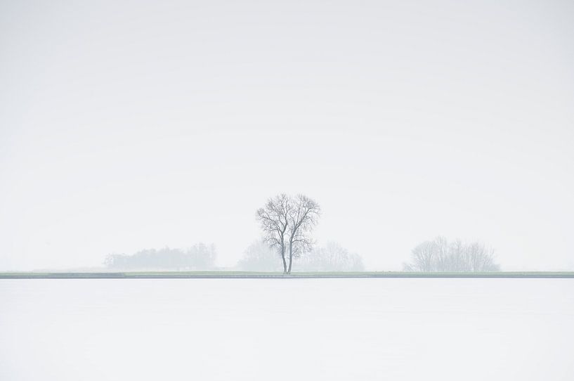 Einsamer Baum in dunstiges Landschaft von Dirk-Jan Steehouwer