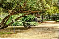 Bankje in het park