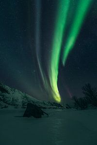 Nordlicht über den Lofoten von Sjoerd van der Wal Fotografie