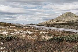 Einsamer Weg durch die Tundra von Rondane, Norwegen von Dylan Winter Visuals