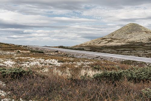 Route solitaire à travers la toundra de Rondane, en Norvège