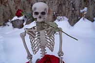 Eeuwige liefde skelet met rode roos in witte sneeuw van Babetts Bildergalerie thumbnail