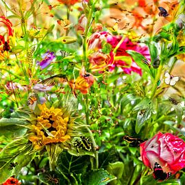 Spring by thomasbijen