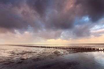 Wadden coast by Ton Drijfhamer