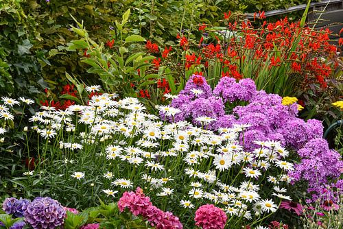 In the middle of summer