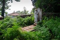 Tomb with ferns