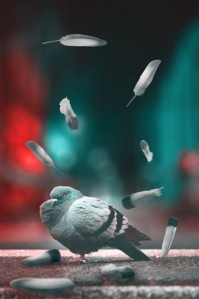 Mystical City Night: Elegant Dove in Darkness for your Interior by Elianne van Turennout