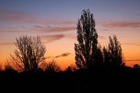 Golden hour in Nederland
