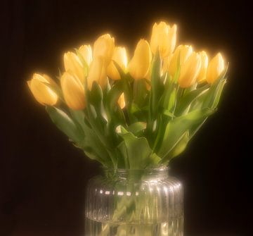 Tulipes jaunes sur Günther Henry Schulze
