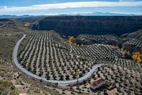 Canyon of Gor, Andalusia