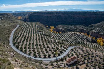 Canyon van Gor, Andalusie van Jan van der Veen