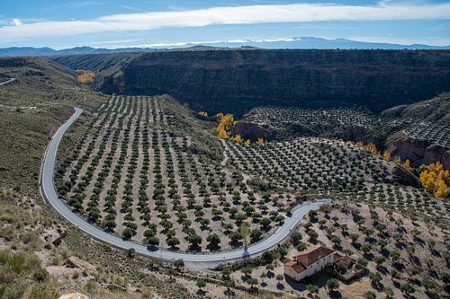 Canyon of Gor, Andalusia