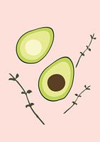 Avocado op een roze achtergrond