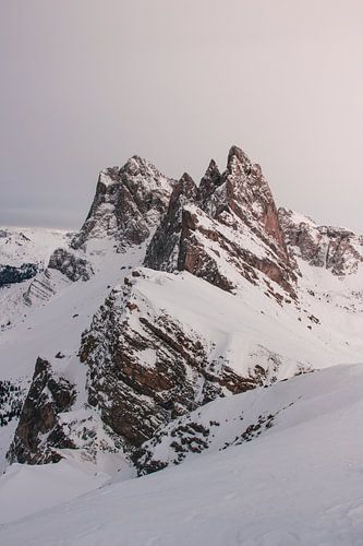 Seceda 2500m - Dolomites