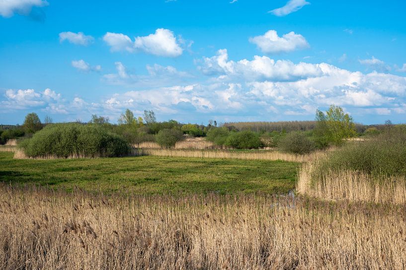 Nature around Diest by Werner Lerooy