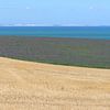 Les falaises de craie de Douvres depuis la côte nord de la France. sur Annavee