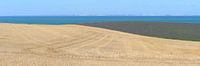 Les falaises de craie de Douvres depuis la côte nord de la France. par Annavee Aperçu