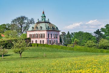 Fazantenburchtje in Moritzburg, Duitsland van Gunter Kirsch