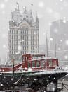 Winter in Rotterdam the harbour the white house .(Witte huis.) by Alain Ulmer thumbnail