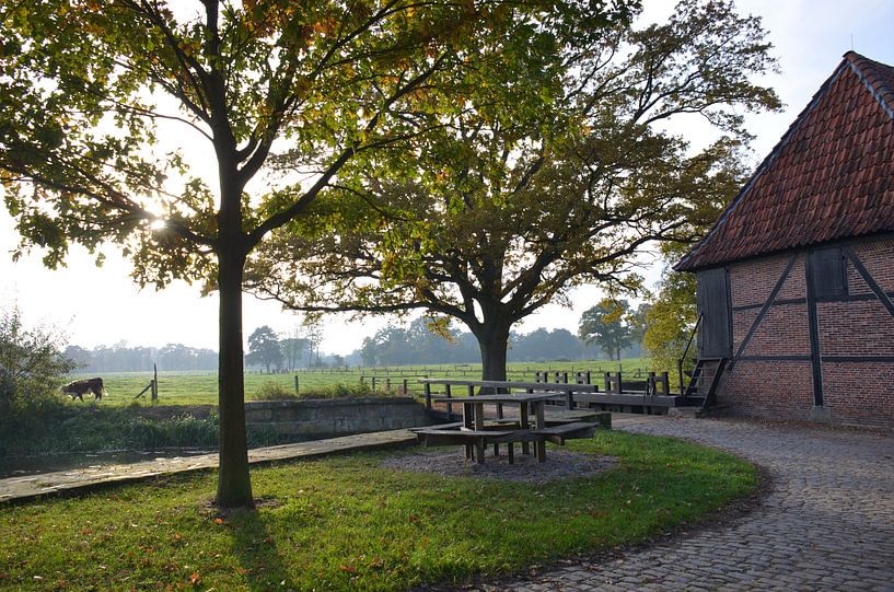 bankje van Beeldwoord