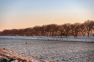 Les oiseaux dans la neige le long du canal de Walcheren